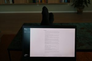 AI Generated Summaries Impacting the Customer Journey